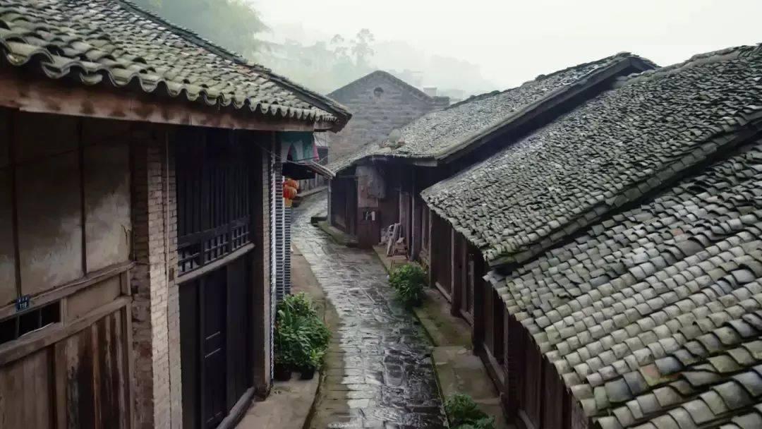 原始丛林找星星
